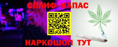 крисы Краснодар