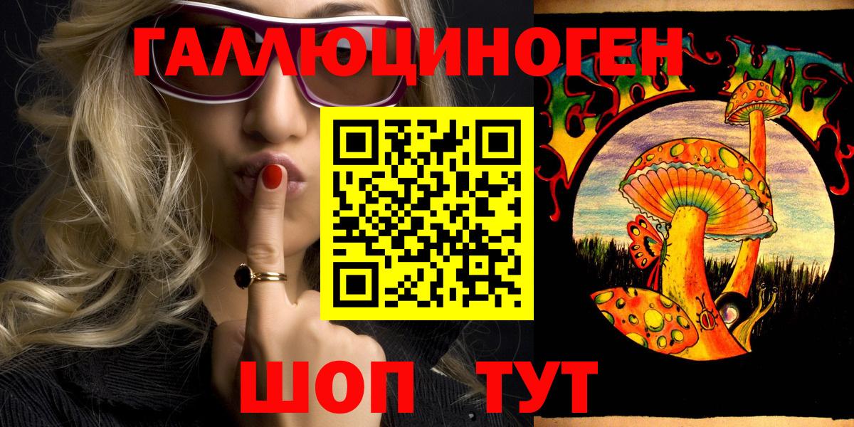 Галлюциногенные грибы Psilocybe  Вход с VPN  Коряжма 