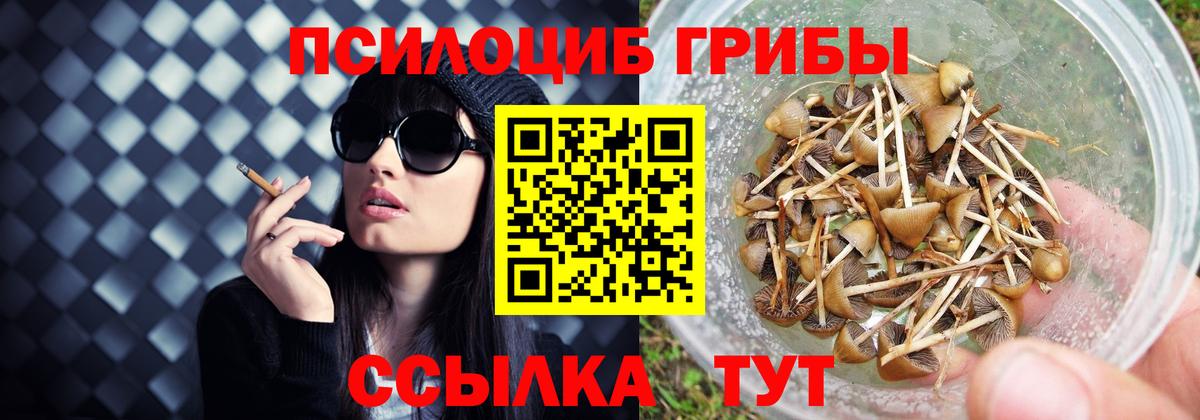 Псилоцибиновые грибы Magic Shrooms Коряжма